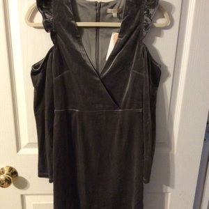 Gianni Bini NWT dress